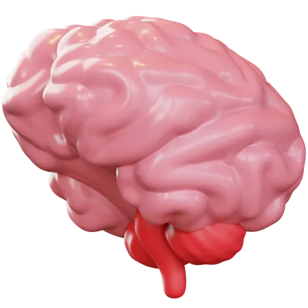 Brain  3D Icon