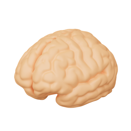 Brain  3D Icon