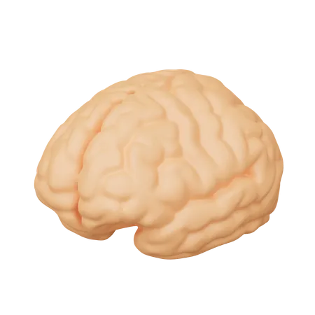 Brain  3D Icon