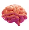 BRAIN