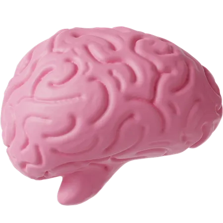 Brain  3D Icon