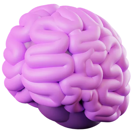 Brain  3D Icon