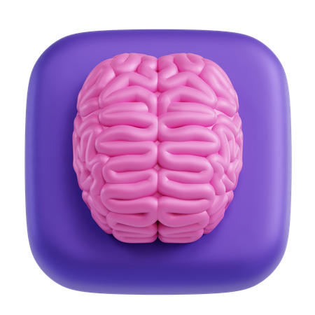 Brain  3D Icon