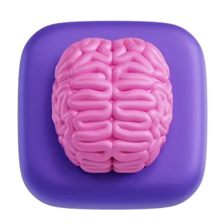 Brain  3D Icon