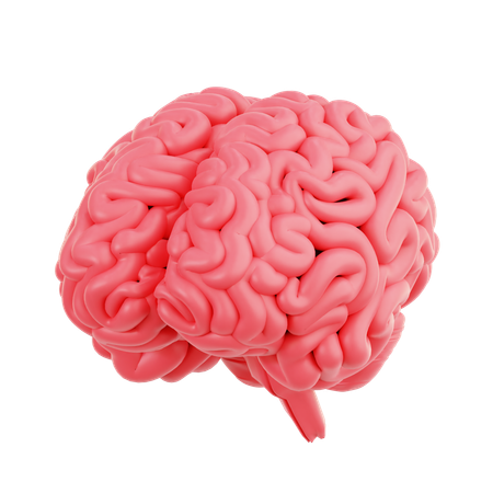 Brain  3D Icon
