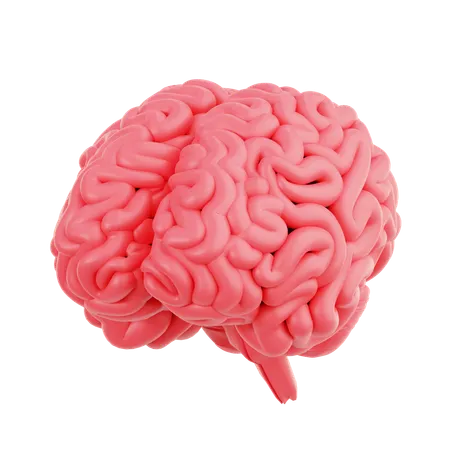 Brain  3D Icon