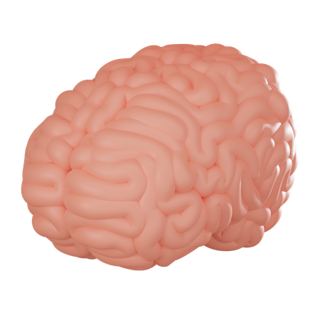 Brain  3D Icon