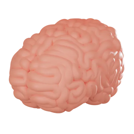 Brain  3D Icon