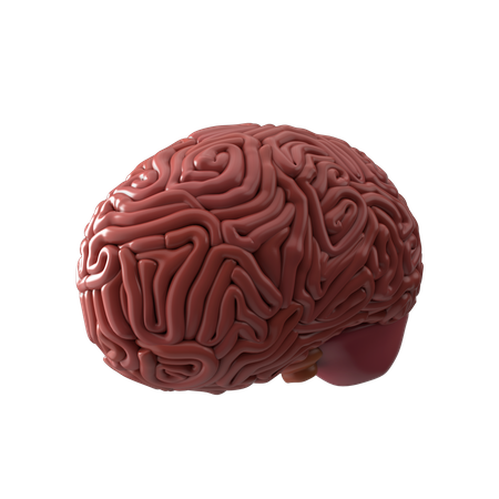 Brain  3D Icon