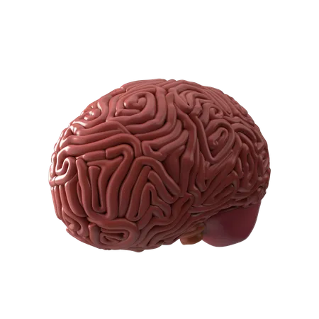 Brain  3D Icon