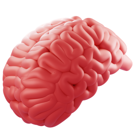 Brain  3D Icon