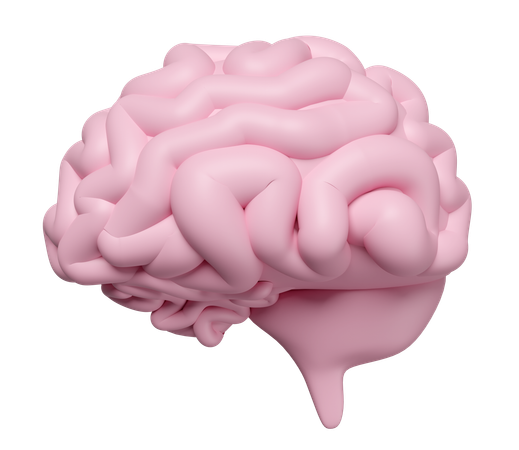 Brain  3D Icon