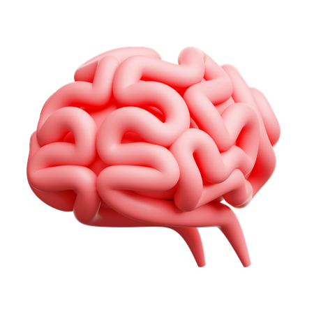 Brain  3D Icon