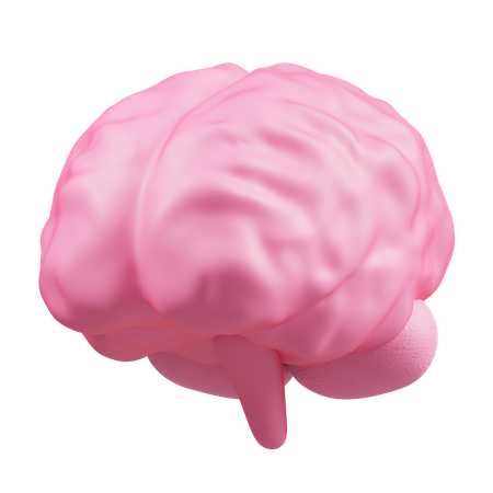 Brain  3D Illustration