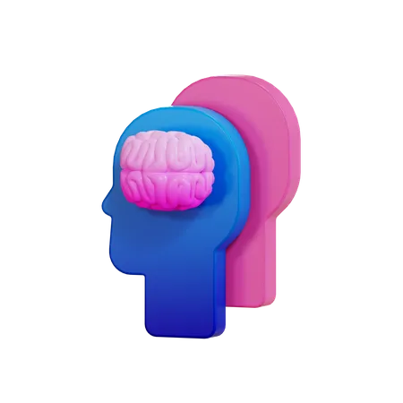 Brain  3D Illustration