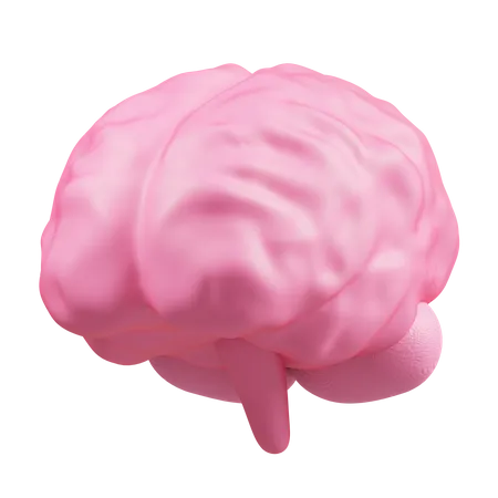 Brain 3D Illustration