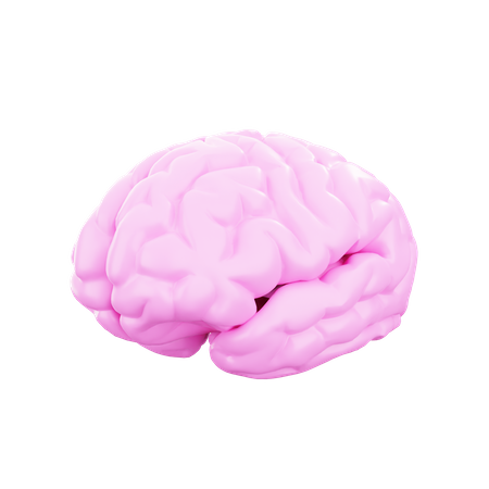 Brain 3D Illustration