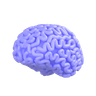 human-brain 3d illustration