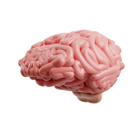 Brain 3D Icon