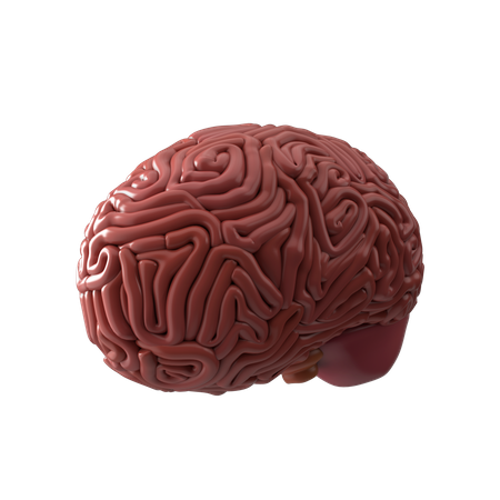 Brain 3D Icon