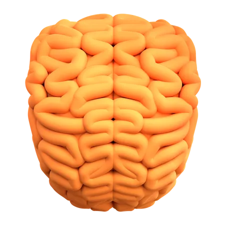 32,782 Brain 3D Illustrations - Free in PNG, BLEND, glTF - IconScout