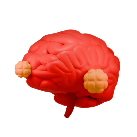 Brain Cancer  3D Icon