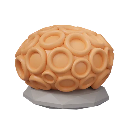 Brain Coral  3D Icon
