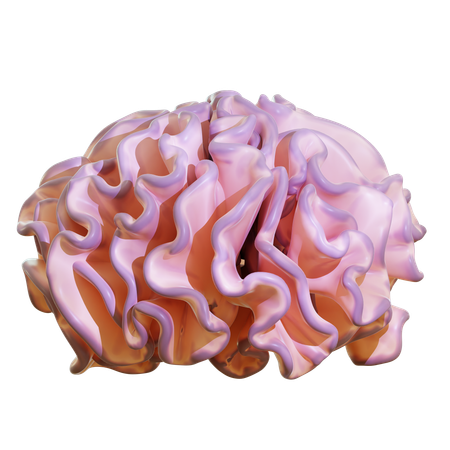 Brain Coral  3D Icon