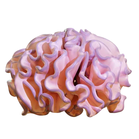 Brain Coral  3D Icon