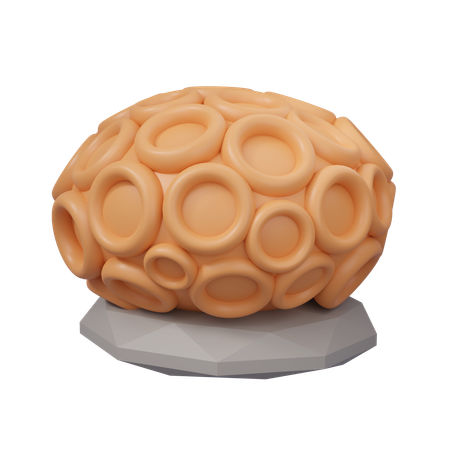 Brain Coral  3D Icon