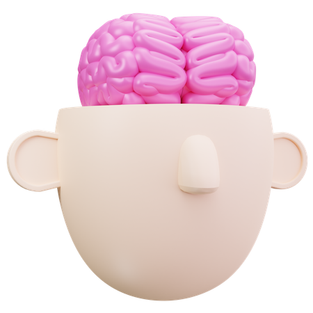 Brain Programmer  3D Icon
