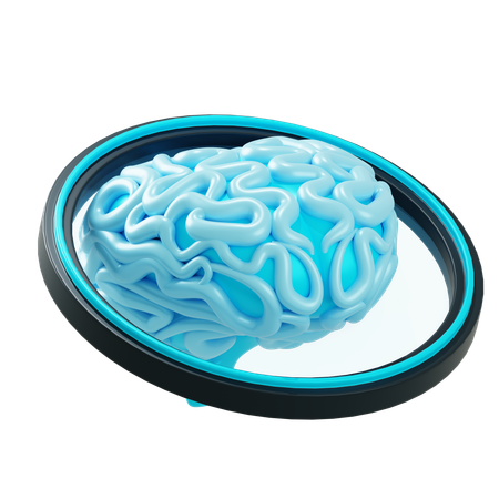 Brain Scan  3D Icon