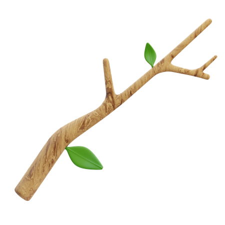 Branch  3D Icon