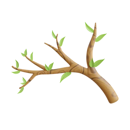 Branch  3D Icon