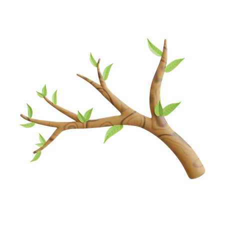 Branch  3D Icon