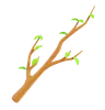 Branch