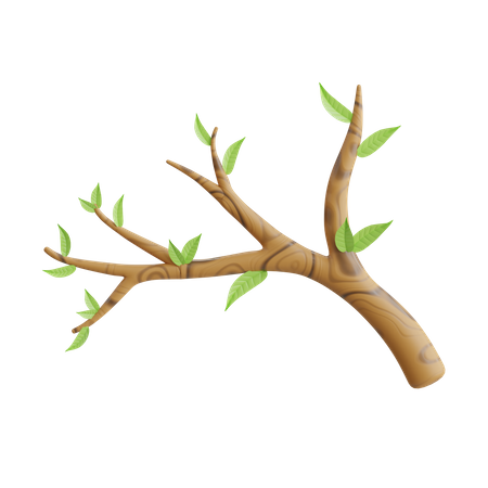 Branch  3D Icon