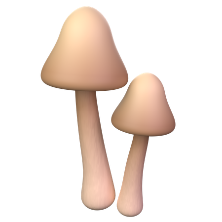 Brauner Pilz  3D Icon