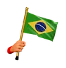 Brazil Flag