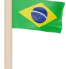 Brazil Flag