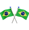 Brazilian Flags