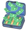 Briefcase money
