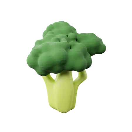 Broccoli Download This Item Now 3D Icon