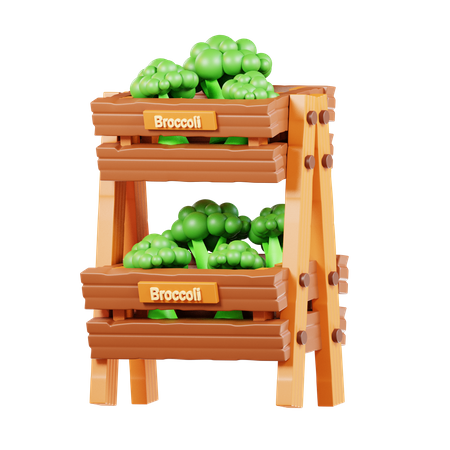 Broccoli  3D Icon