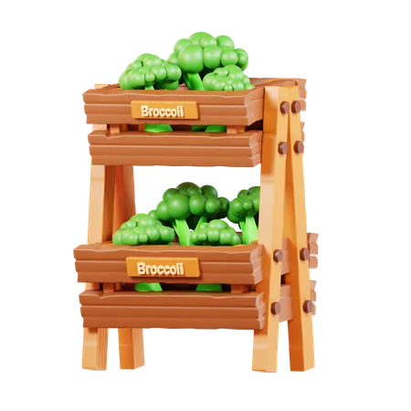 Broccoli  3D Icon