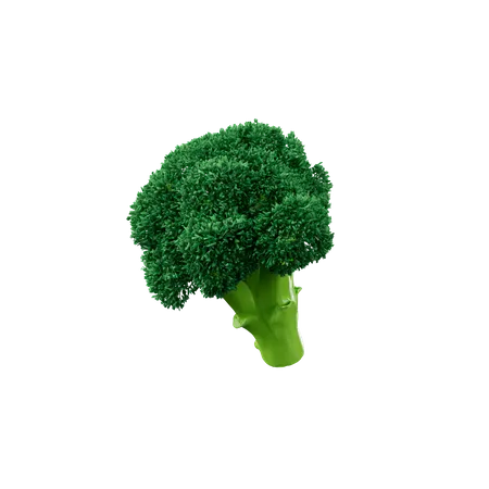 Broccoli  3D Icon