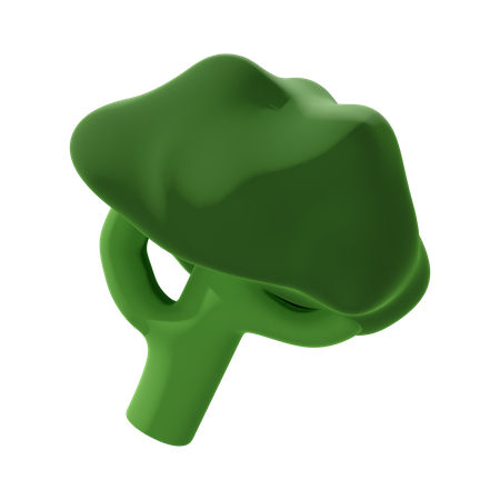 Broccoli  3D Icon