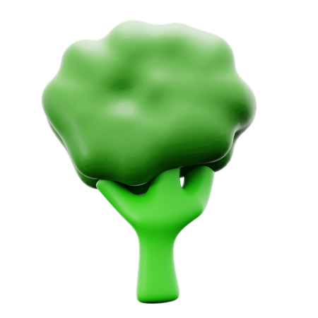 Broccoli  3D Icon