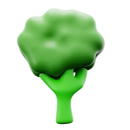 Broccoli  3D Icon