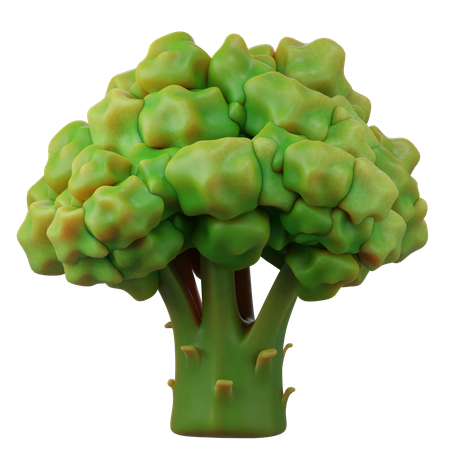 Broccoli  3D Icon